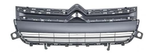 Calandre Citroën Berlingo · 2015