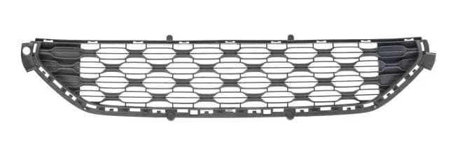 Calandre Citroën C3 · 2013