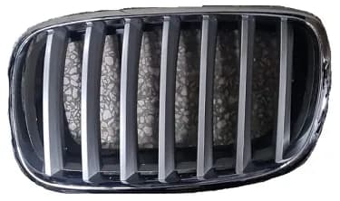 Grille de pare-chocs gauche BMW X5 (E70) · 2011